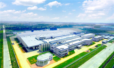 伊利攜手印尼，以科技守護紅樹林，共筑綠色未來