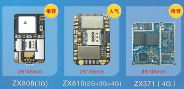 十年專注，領航未來 一家GPS電子寵物研發(fā)企業(yè)的創(chuàng)新之路