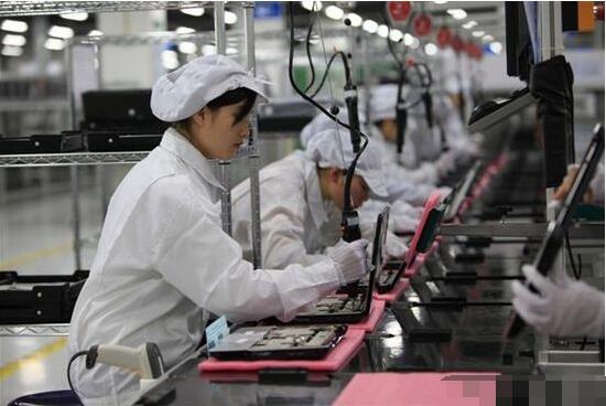 電子廠苦中作樂秘籍 上班養(yǎng)貓，快樂似神仙？